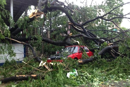 4 ຄົນເສຍຊີວິດ ແລະ  2 ຄົນຫາຍສາບສູນໃນພາຍຸ Rammasun